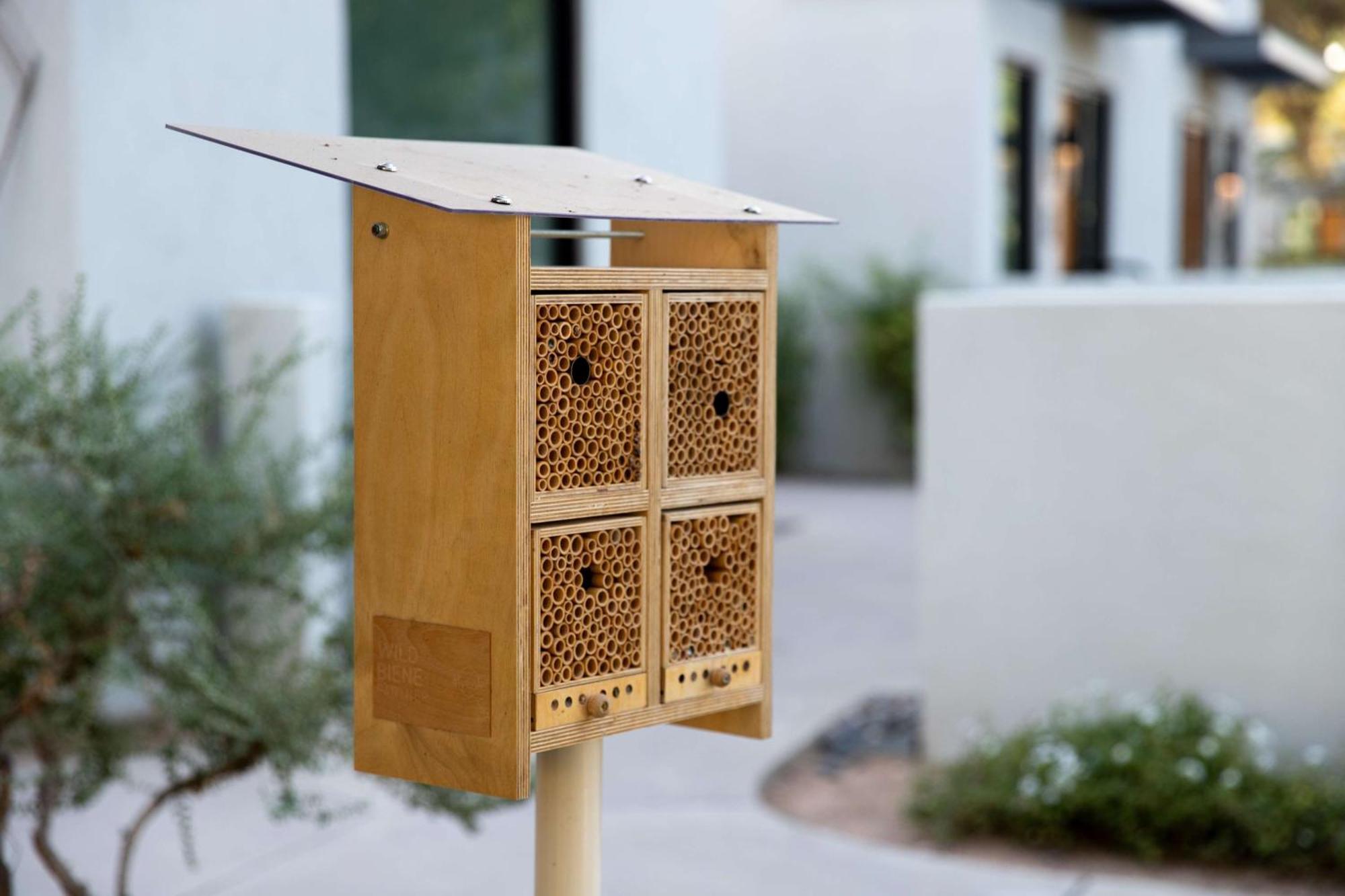 Andaz Scottsdale Resort & Bungalows Bagian luar foto