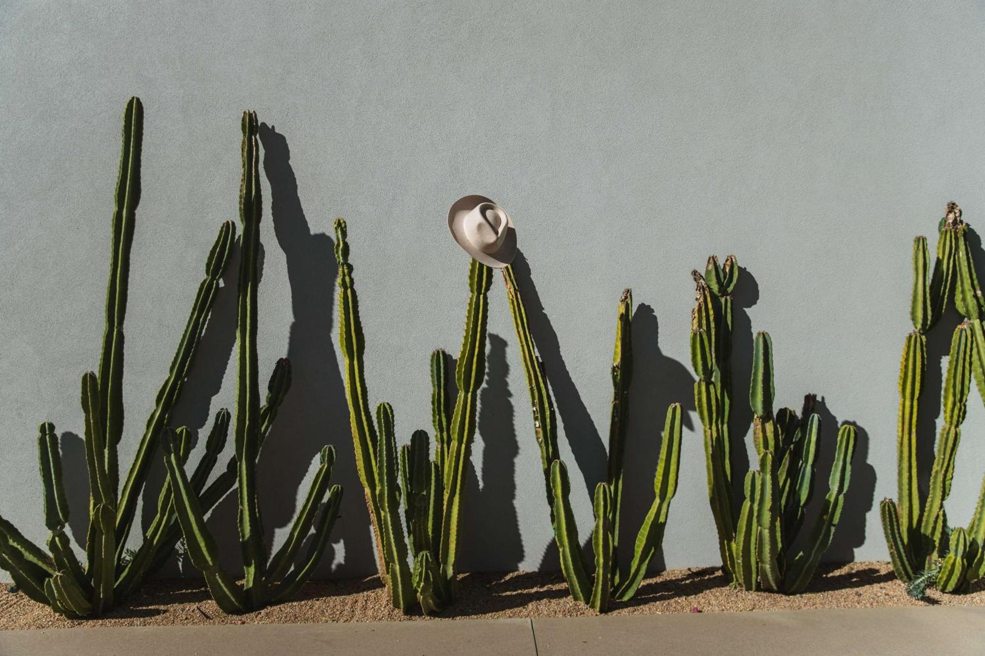 Andaz Scottsdale Resort & Bungalows Bagian luar foto